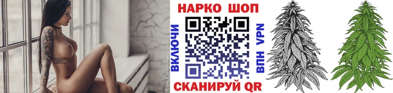 Конопля Иваново
