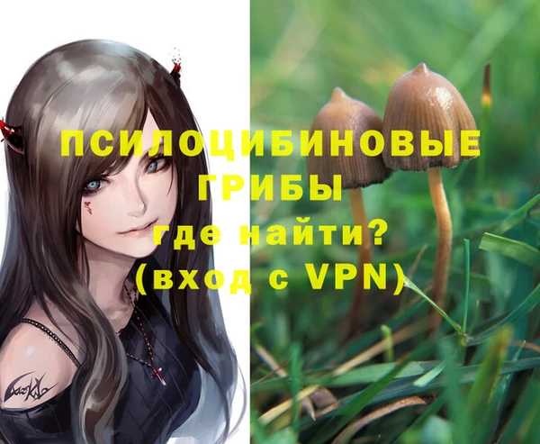 круглые Абаза