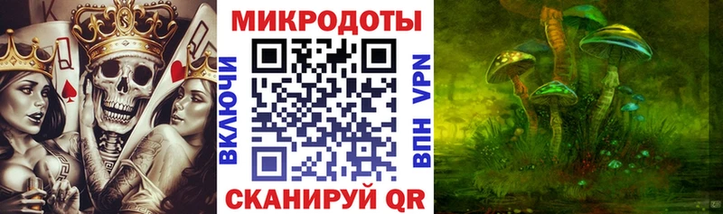 Галлюциногенные грибы Psilocybine cubensis Иваново